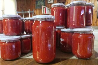 7 Kilo Domatesten Kaç Kavanoz Konserve Çıkar