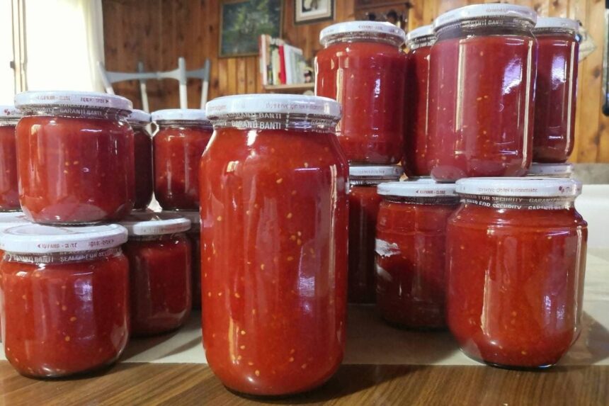 7 Kilo Domatesten Kaç Kavanoz Konserve Çıkar